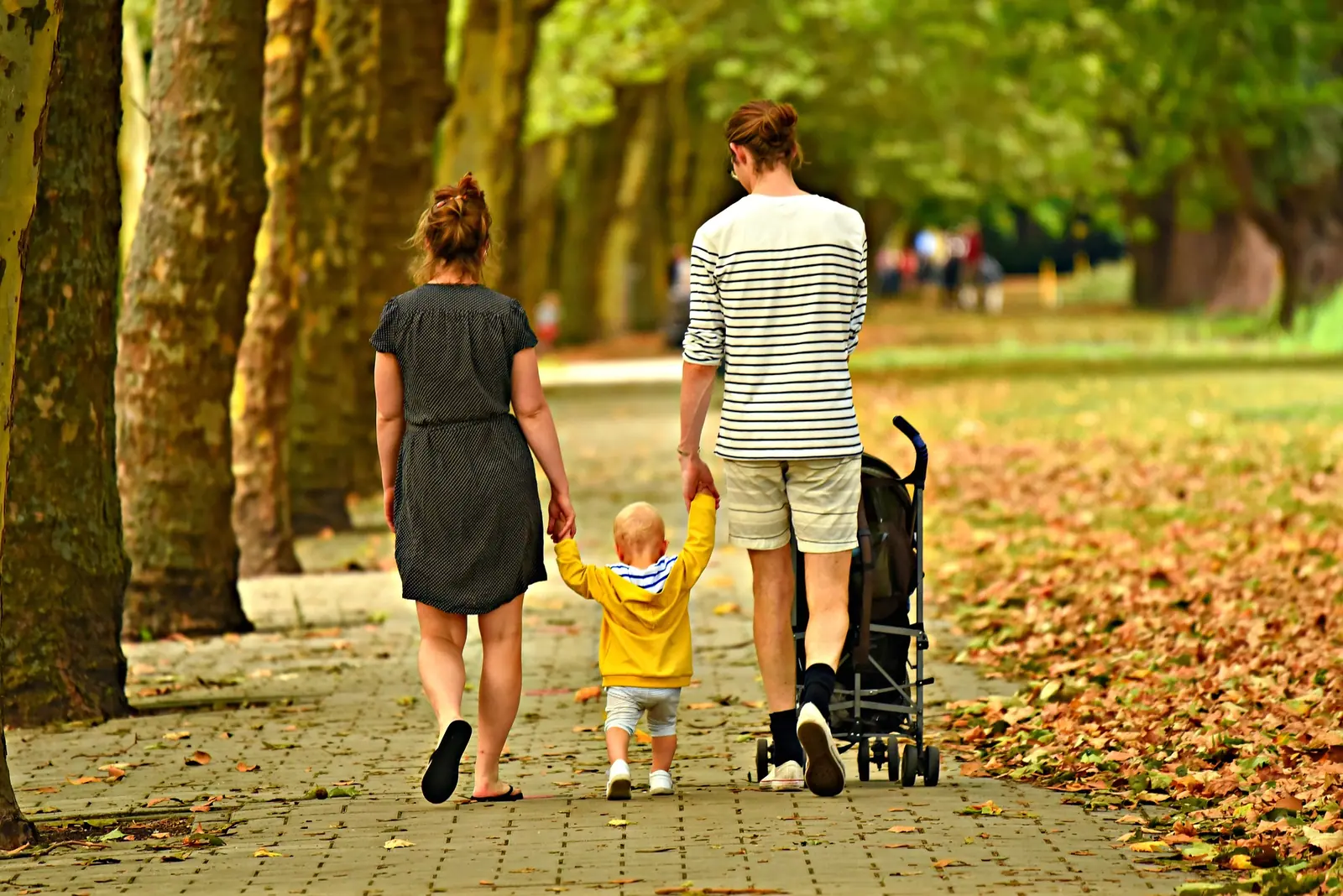Estate Planning Law representation at TSEGTS Law Group P.C. in Naperville, Illinois